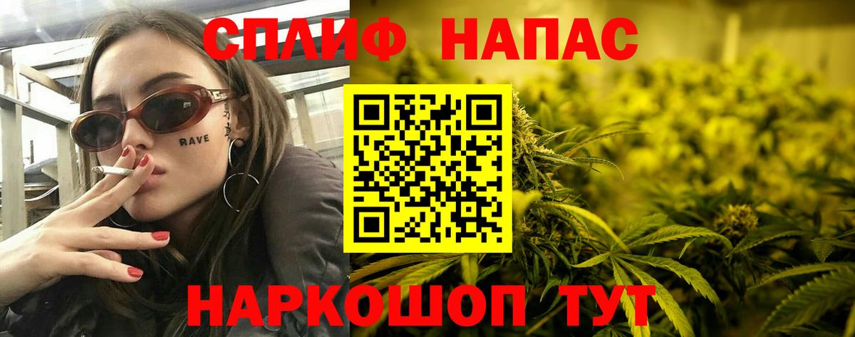 Каннабис сатива Красноармейск